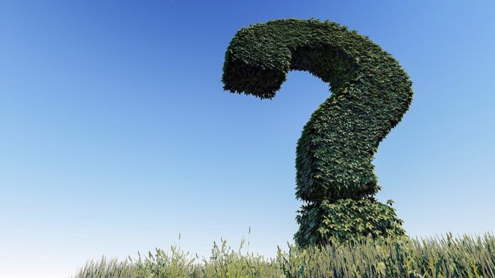 how to ask the right questions