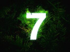 7 skills to develop